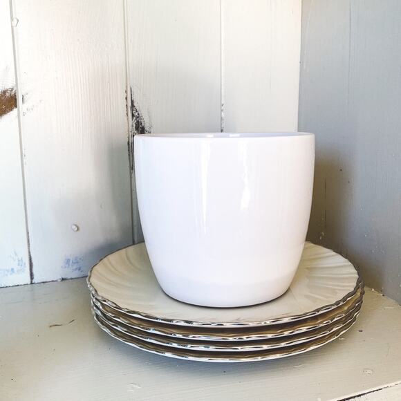 TRADER JOE’S • White Plant Vase Planter - Picture 1 of 5